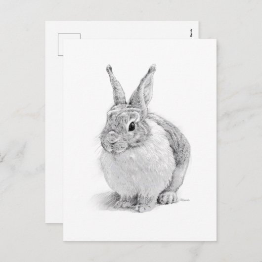 konijn feestdagenkaart (Voorkant / Achterkant)