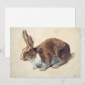 konijn | Floris Verster (Voorkant / Achterkant)