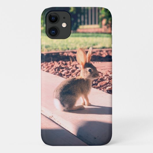 konijn foto Pasen lente Case-Mate iPhone Case (Achterkant)