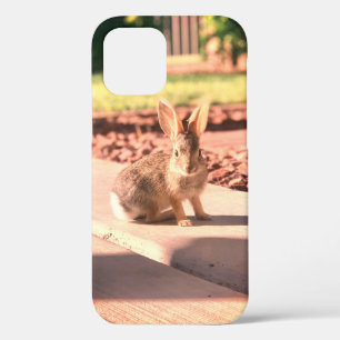 konijn foto Pasen lente Case-Mate iPhone Case
