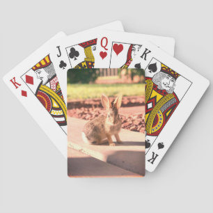 konijn foto Pasen lente Pokerkaarten