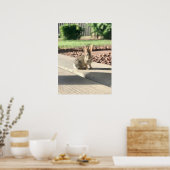 konijn foto Pasen lente Poster (Keuken)