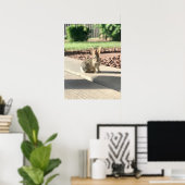 konijn foto Pasen lente Poster (Thuiskantoor)