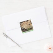 Konijn Foto Stickers (Envelop)