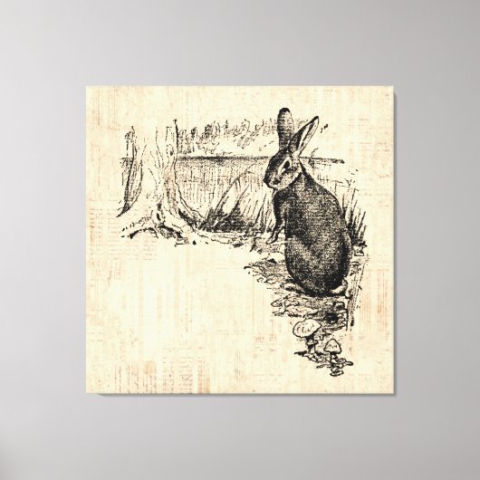 konijn geïllustreerd Bunny Art Canvas Afdruk (Voorkant)