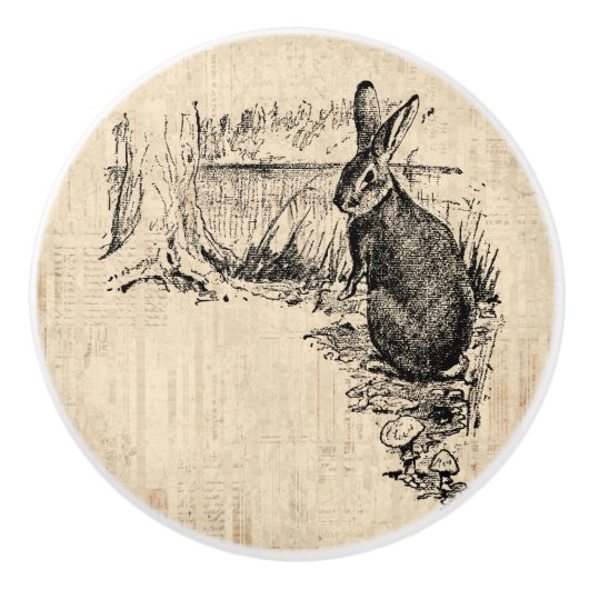  konijn geïllustreerd Bunny Art Keramische Knop (Voorkant)