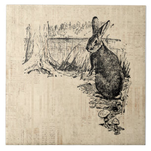 konijn geïllustreerd Bunny Art Tegeltje