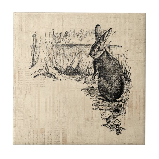 konijn geïllustreerd Bunny Art Tegeltje (Voorkant)
