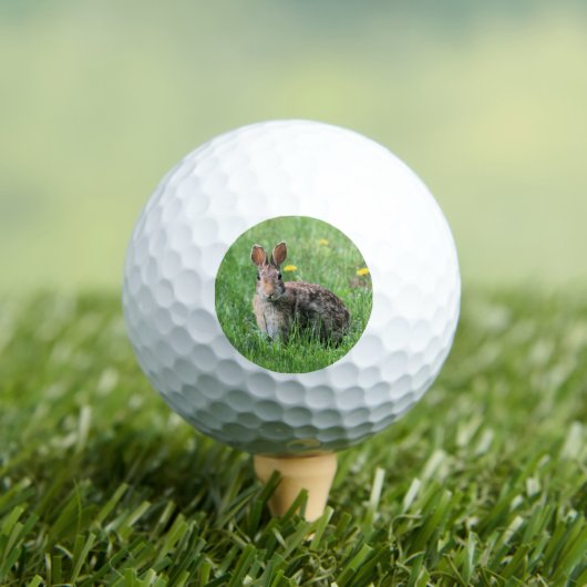 Konijn Golfballen (Insitu Shirt)