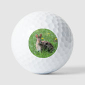 Konijn Golfballen (Voorkant)