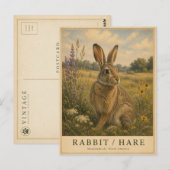 Konijn Haas Meadowlands VINTAGE Briefkaart (Voorkant / Achterkant)