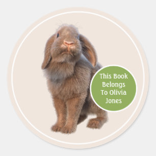 Konijn Holland Lop Boekenlegger op Maat Ronde Sticker