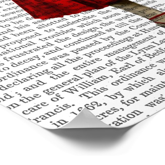 Konijn in de Rode Dress Poster (Hoek)