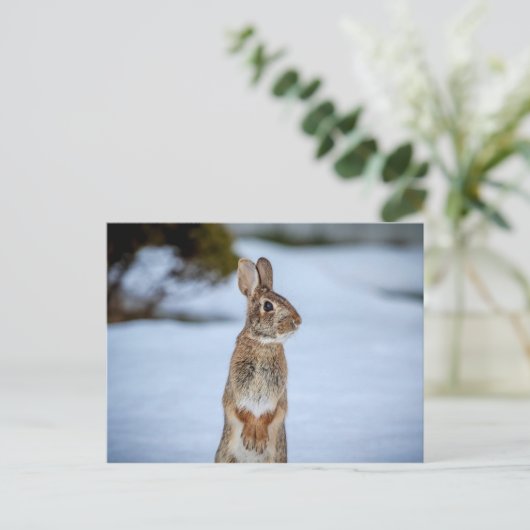 Konijn in de sneeuw briefkaart (Staand voorkant)