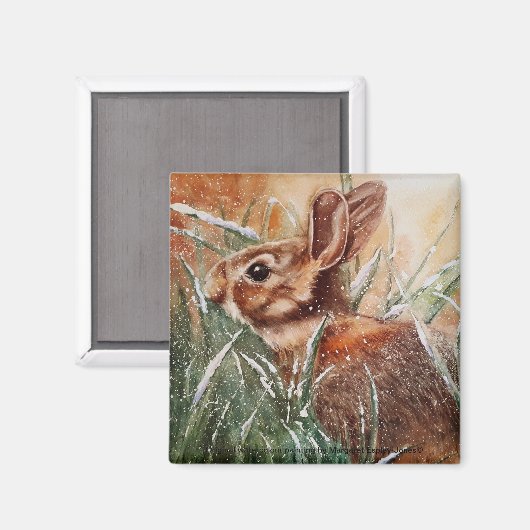 Konijn in de sneeuw koelkast magneet (Voorkant / Achterkant)