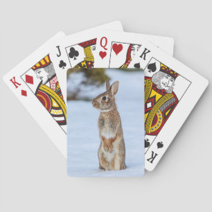 Konijn in de sneeuw speelkaarten