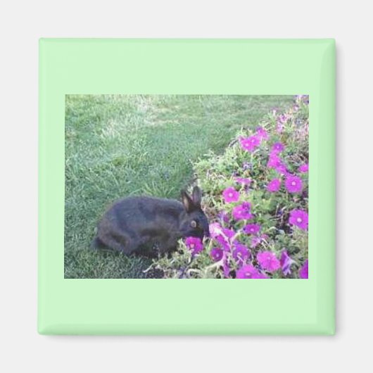 Konijn in de tuin magneet (Voorkant)