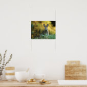 Konijn in gras poster (Keuken)
