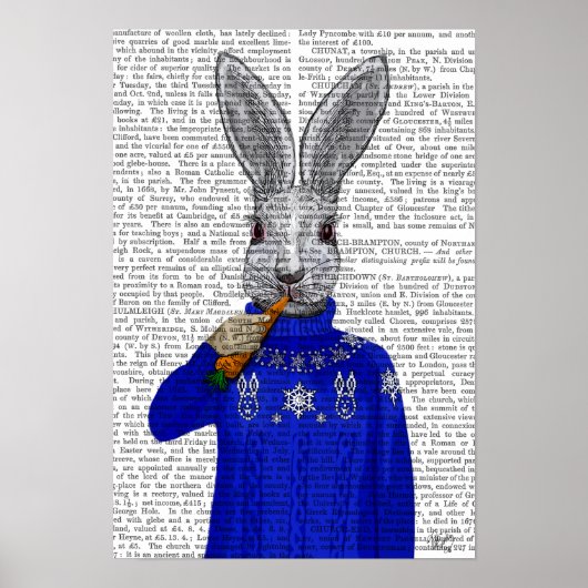Konijn in Sweater Poster (Voorkant)