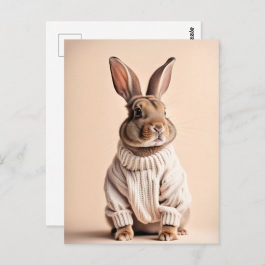 Konijn in trui, Postcrossing Briefkaart (Voorkant / Achterkant)