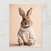 Konijn in trui, Postcrossing Briefkaart (Voorkant)
