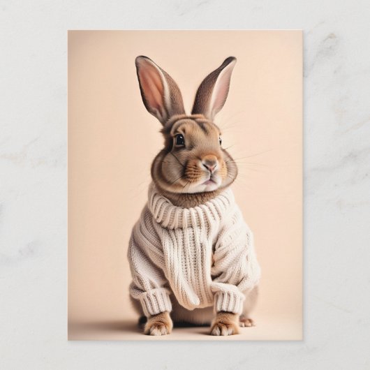 Konijn in trui, Postcrossing Briefkaart (Voorkant)