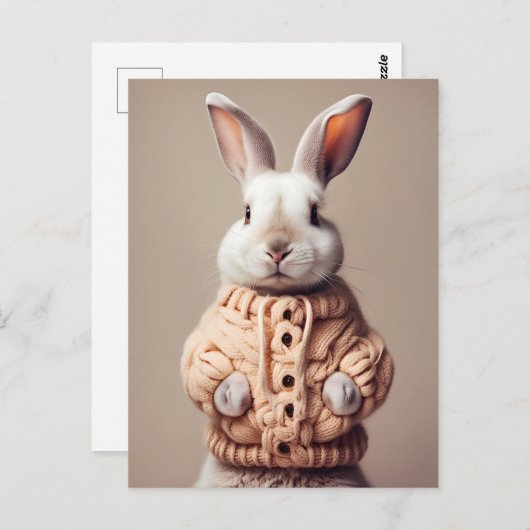 Konijn in trui, Postcrossing Briefkaart (Voorkant / Achterkant)
