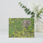 Konijn in Wildflower Field DIY Briefkaart (Staand voorkant)