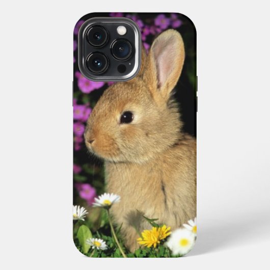Konijn iPhone Hoesje (Achterkant)