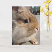 Konijn Kaart (Gele Bloem)
