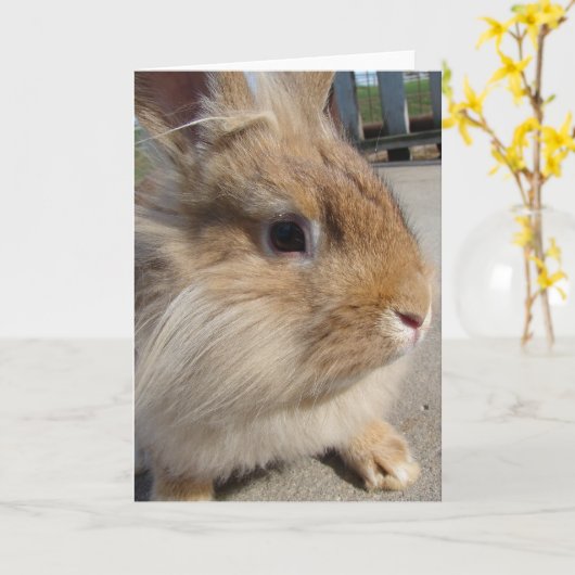 Konijn Kaart (Gele Bloem)