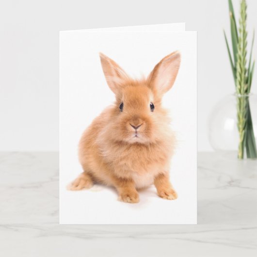 konijn kaart (Voorkant)
