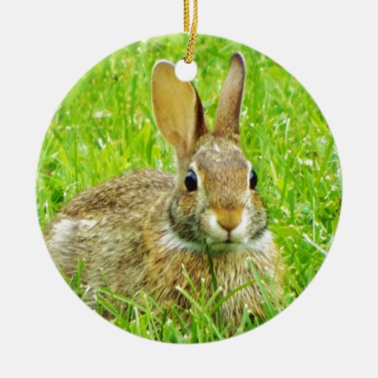 konijn keramisch ornament (Voorkant)