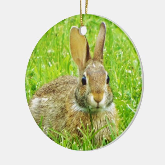 konijn keramisch ornament (Links)