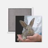 konijn magneet (Voorkant / Achterkant)