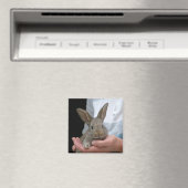 konijn magneet (Insitu (Vaatwasser))