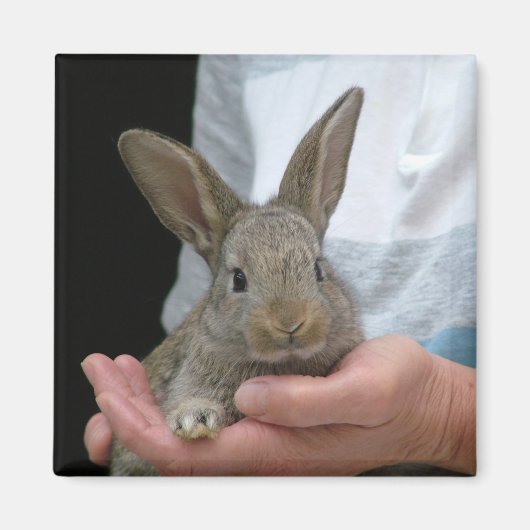 konijn magneet (Voorkant)