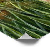 Konijn met Butterfly 55 Poster (Hoek)