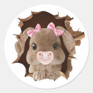 Konijn met fopspeen ronde sticker