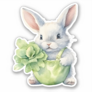 Konijn met kool sticker