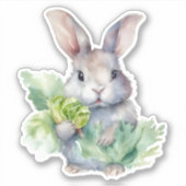 Konijn met kool sticker (Voorkant)