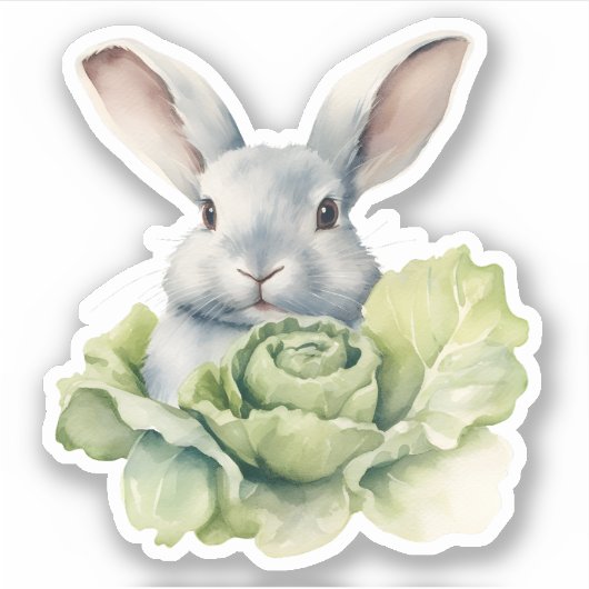 Konijn met kool sticker (Voorkant)