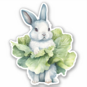 Konijn met kool sticker