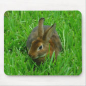  konijn muismat (Voorkant)