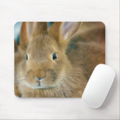 Konijn Muismat (Met muis)