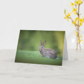 Konijn Natuur Foto Kaart (Gele Bloem)