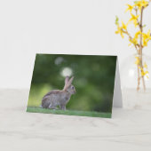 Konijn Natuur Foto Kaart (Gele Bloem)