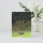 Konijn op de vlucht briefkaart (Staand voorkant)