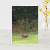 Konijn op de vlucht kaart (Gele Bloem)