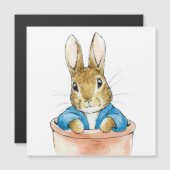 Konijn Peter in een bloempot kaart (Voorkant / Achterkant)